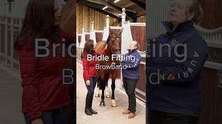 How to check a browband fits  Bridle Fitting BridleFitting Bridle [upl. by Ricarda]