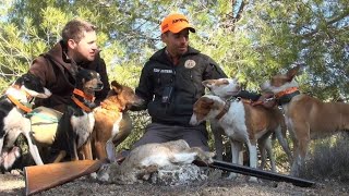 CAZA DE CONEJOS CON PODENCOS DEL CAMPO ARAÑUELO [upl. by Erdua]