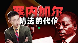 法国高材生救不了非洲人，“河南造”如何改变西非精法高地？【西非04丨塞内加尔】 [upl. by Rod]