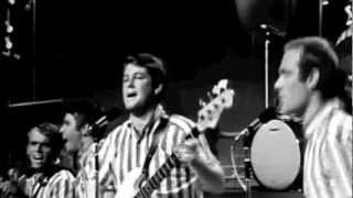 Surfin USA Live on the TAMI Show 1964 [upl. by Leanor]