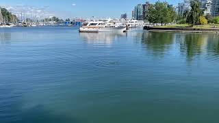 20240701 Devonian Harbour Park Vancouver Canada 2 [upl. by Goddart458]