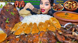 ASMR Eating Spicy King Fish CurryFish Fry MasalaFull Fish FryRice Big Bites ASMR Eating Mukbang [upl. by Hayyifas372]