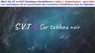 Exercice 3 codominance gène létal et dihybridisme 2BAC [upl. by Darius]