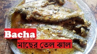 Bacha Macher Tel Jhal  Bengali Traditional Fish Curry  No Onion No Garlic Fish Curry Recipe [upl. by Pence]