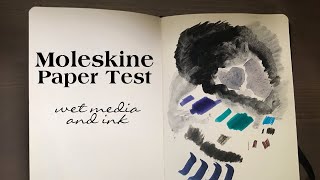 Moleskine Art Collection Sketchbook Paper Test [upl. by Hulda414]