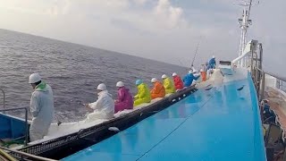 Skipjack Tuna Fishing Boat DEEP IN SEA  Rod amp Line Fishing For  Tuna Fishing Japan [upl. by Neelik408]