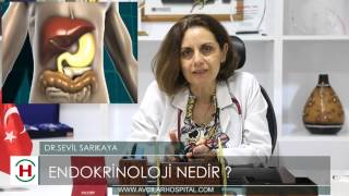 Endokrinoloji nedir  Uzm Dr Sevil SARIKAYA [upl. by Flemming]