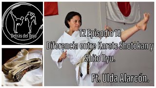 T2 Episodio 19 Diferencia entre Karate Shotokan y Shito Ryu Ft Ulda Alarcón [upl. by Letnahc]