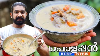 കിടിലൻ രുചിയിൽ ബീഫ് സ്‌റ്റു  Beef Stew Recipe Malayalam  Kerala style Beef Stew with Coconut Milk [upl. by Annua]