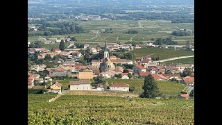 Discover Beaujolais [upl. by Drolet919]