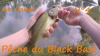 Pêche du Black Bass au Canal N°4 HD [upl. by Inoliel313]