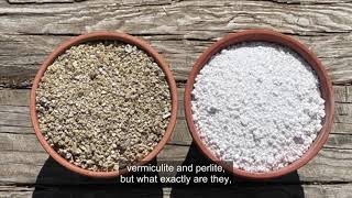 Vermiculite vs Perlite Whats the difference [upl. by Haikan220]