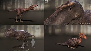 Saurian  Baby Trex motions and the process of growing Tyrannosaurus [upl. by Simson]