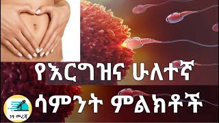 የእርግዝና ሁለተኛ ሳምንት 2 Weeks Pregnant What to Expect [upl. by Nottirb]