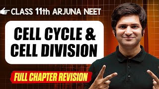 Cell Cycle amp Division  COMPLETE Chapter in 1 Video  Quick Revision  Class 11th Arjuna NEET [upl. by Adnesor371]