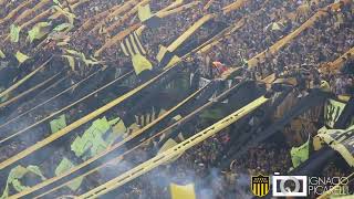 Acá esta la famosa banda de Peñarol 💛🖤 [upl. by Mat525]