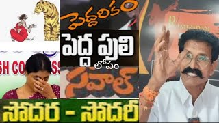 పెద్దరికంపెద్ద పులిసవాల్సోదరసోదరిwesupportcreatorspeddarikampeddapuli [upl. by Acassej857]