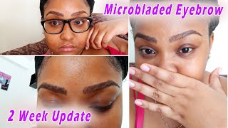 MY MICROBLADED EYEBROWS AFTER 2 WEEKS [upl. by Nnilsia]