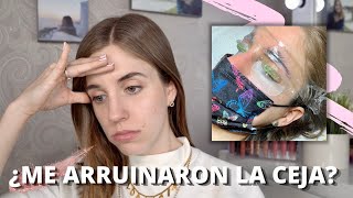 MI EXPERIENCIA CON EL LAMINADO DE CEJAS ¿FUNCIONA I Florencia Guillot [upl. by Alad]