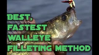 Best fastest walleye filleting method for maximum meat [upl. by Akienom]