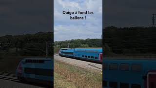 TGV Ouigo full speed en pleine campagne tgv ouigo fullspeed rail trainspotter train [upl. by Nodnar]