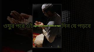 অজু শেষে এই দোয়া পড়বেন  mizanur rahman azhari dua shortsfeed [upl. by Bidle]