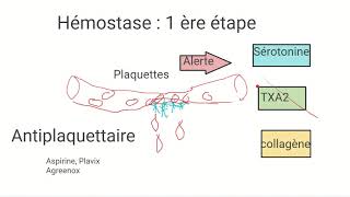 Physiologie de lhémostase et mécanisme daction des principaux anticoagulants [upl. by Barnebas]