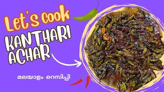 കാന്താരി ഇനിയും വെറുതെ കളയല്ലേ 👌😋 Kanthari Achar Malayalam recipekerala style kanthari pickle [upl. by Honig361]