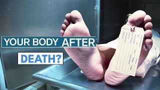 What happens to our bodies after death [upl. by Perkoff]