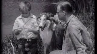 Lassie  Episode 6  quotThe Convictquot Originally broadcast 10171954 [upl. by Dino940]