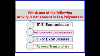 Taq DNA Polymerase activities [upl. by Ursula]