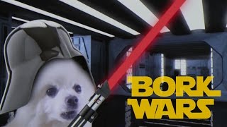 Imperial Borks Star Wars [upl. by Gnim93]