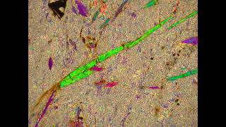 Tremolite in thin section [upl. by Farand554]