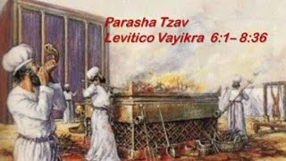 25  Torah Parsha Tzav give command [upl. by Rise]