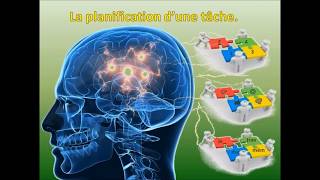 Le MémoPuzzle activité cognitive pour malades dAlzheimer [upl. by Eniamrehc]