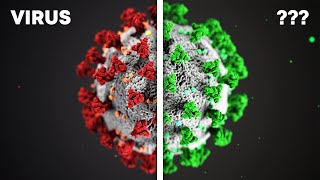Der Unterschied zwischen VIREN und BAKTERIEN [upl. by Moht]