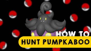 How to SHINY HUNT Pumpkaboo in Pokémon Sword amp Shield  the BEST way [upl. by Elberta]