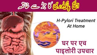 What is H pylori infection  Maida Ka Ulcer Kya Hota Hai  H Pylori Treatment In Urdu Stomach Ulcer [upl. by Cardew]