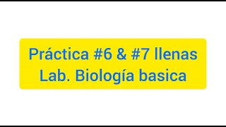 BIO018 UASD PRÁCTICA 6 amp 7  manual de laboratorio biologia basica  lleno [upl. by Akinek263]