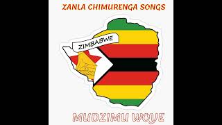 Bantu Melodies Zanla Chimurenga Songs  Mudzimu Woye [upl. by Enaile]