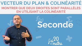 Montrer que deux droites sont parallèles en utilisant la colinéarité  Seconde [upl. by Pattani]