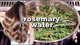 ROSEMARY WATER FOR HAIR GROWTH  DIY Rosemary Water Recipe amp How To Use It [upl. by Stu]