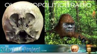 Amy Vickers  Bigfoot  Star Child Skull and Disclosure 44 [upl. by Jacques]