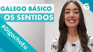 DígochoEu Galego básico os sentidos [upl. by Nnahaid146]