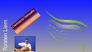 Craniosacral osteopathy english version clearly demonstrated [upl. by Ameline]