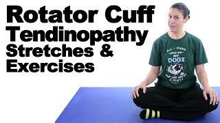 Rotator Cuff Tendinopathy Stretches amp Exercises  Ask Doctor Jo [upl. by Hahnert204]