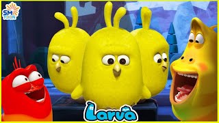 LARVA SEASON 1 EPISODE 289  391  NEW CARTOONS 2025  COMICS  HILARIOUS CARTOON COMPILATION [upl. by Nyleahcim564]