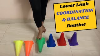 6 Important Lower Limb Coordination amp Balance Exercises [upl. by Leahcimnaes147]