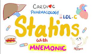 Cardiac Pharmacology 8 Statins With a Mnemonic [upl. by Ailev]