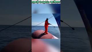 Why dolphins swim in front of ships😳🤯👀 shorts facts ytfacts ytshorts dolphins bulbousbow [upl. by Eugene109]